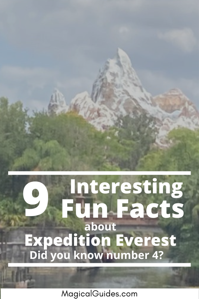 9 Interesting Fun Facts about Expedition Everest in Disney's Animal Kingdom.