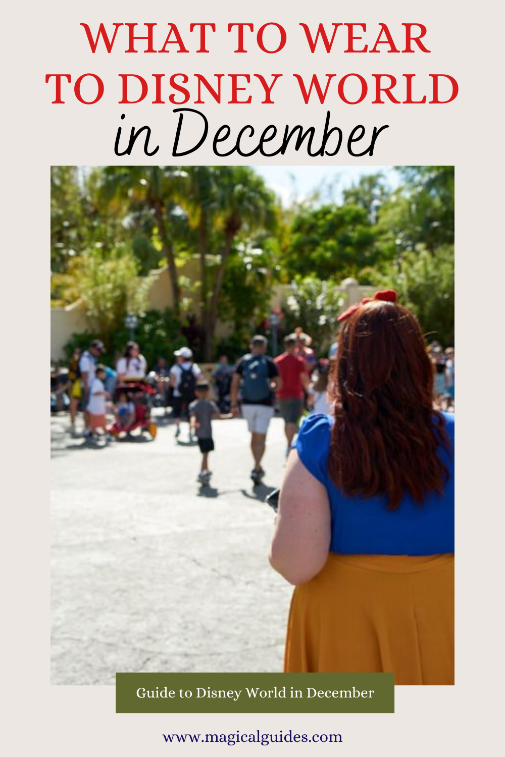 Insider’s Guide To Walt Disney World In December 2024 - Magical Guides