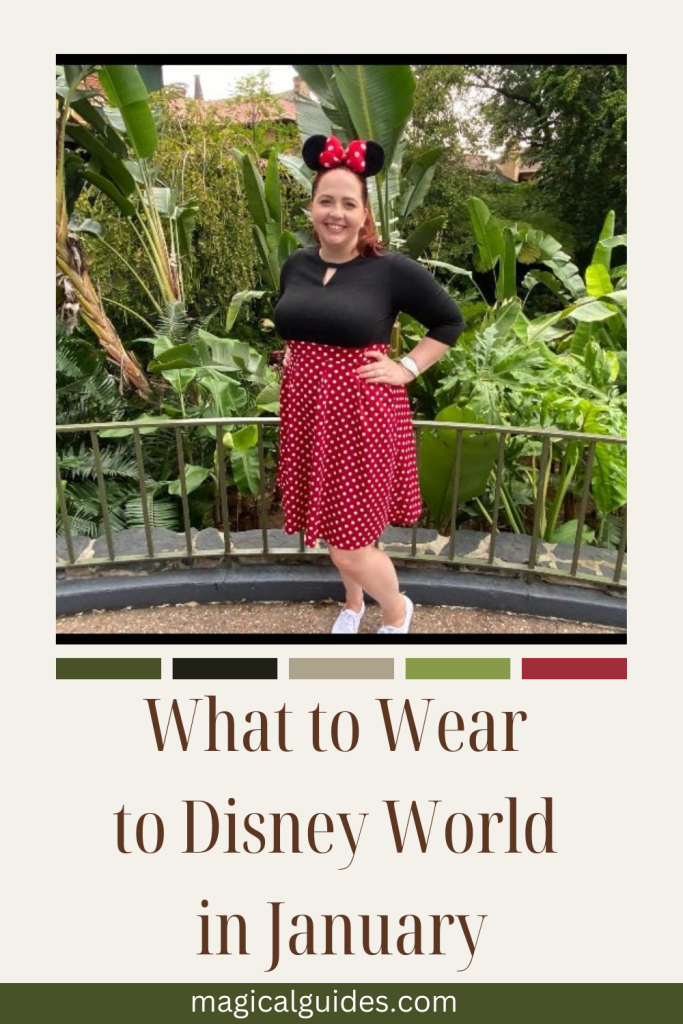 What to Wear to Disney World in January