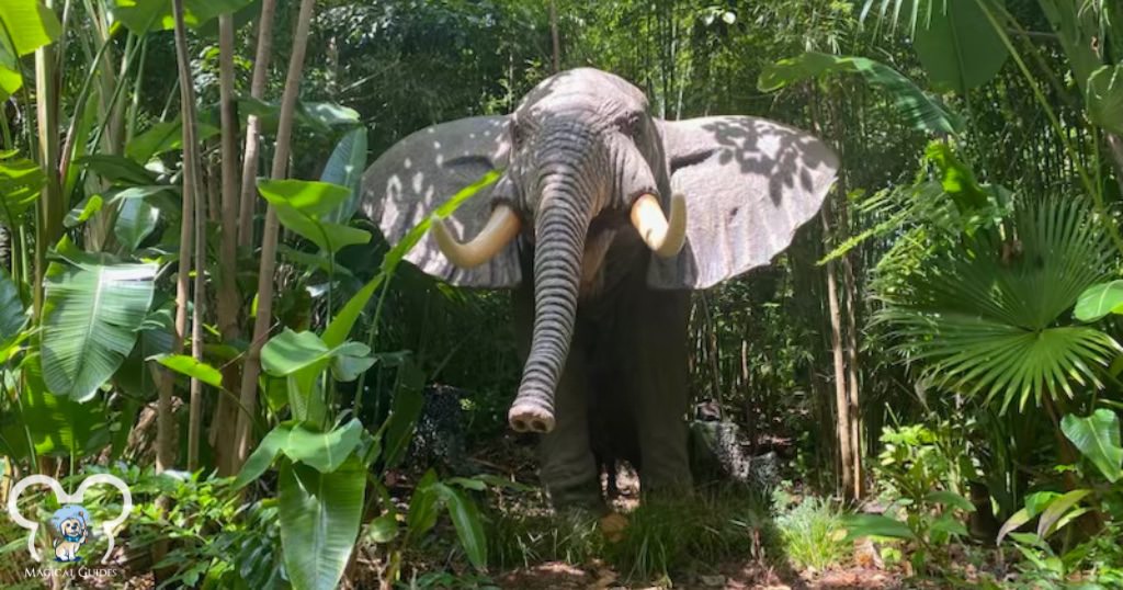 Another Elephant you can see on the Jungle Cruise attraction in Magic Kingdom.
