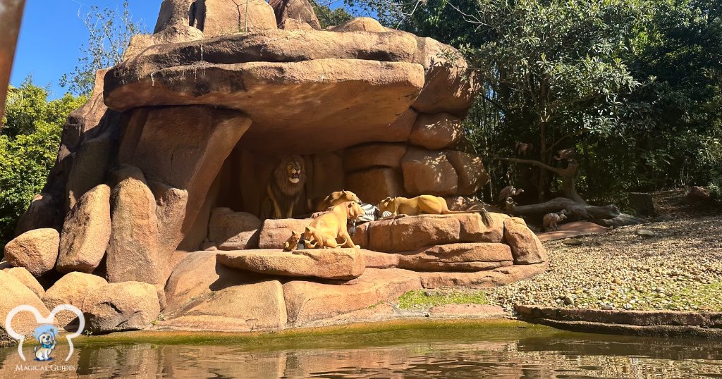 Lion animatronics on the Jungle Cruise ride in Magic Kingdom. (Photo by Bayley Clark for magicalguides.com)