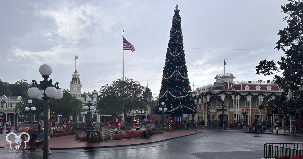 Entrance to Magic Kingdom at Christmastime. You can't miss the 65 foot tall tree, the biggest on Disney World property.