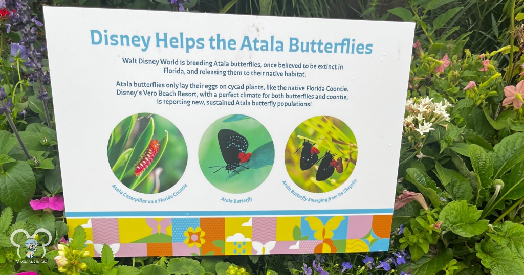 Atala Butterfly sign at the EPCOT Butterfly Garden.