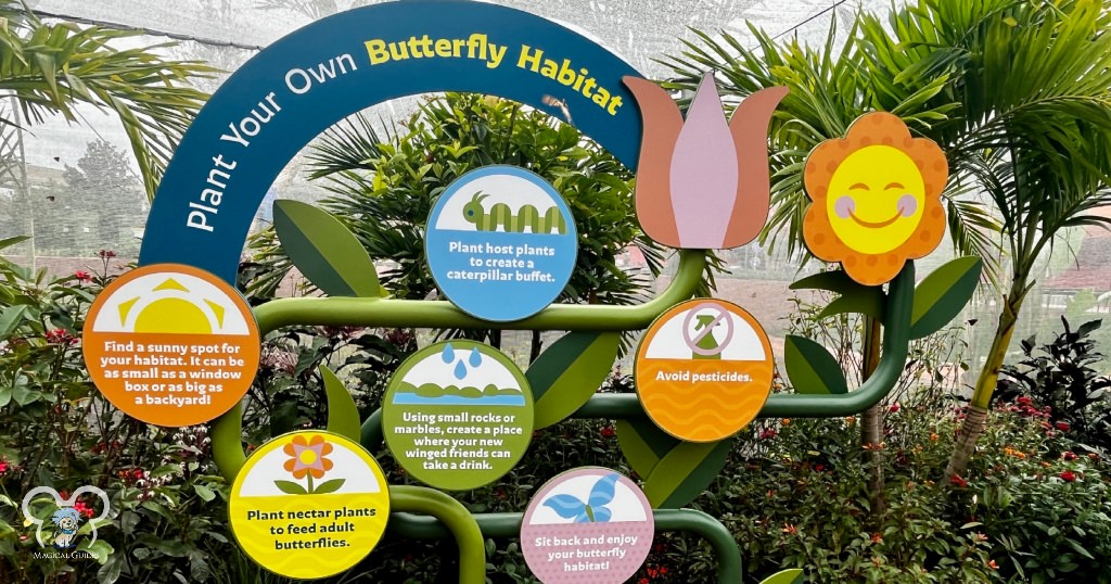 Plant your own Butterfly Garden sign at the EPCOT Butterfly Garden.