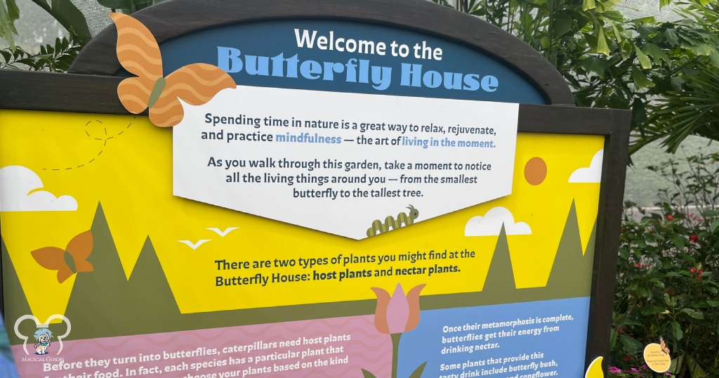 EPCOT Butterfly Garden Welcome to the Butterfly House Sign.