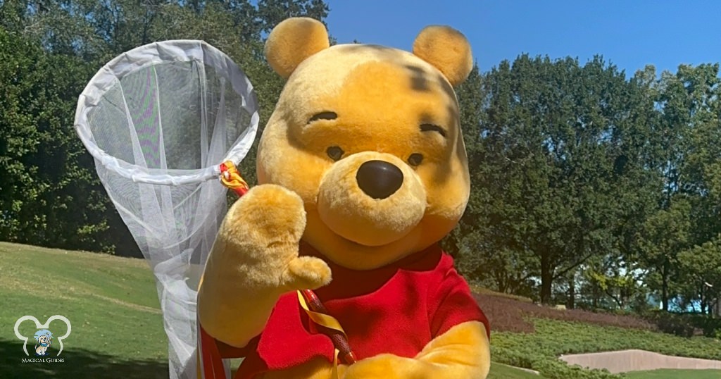 Winnie the Pooh seen in EPCOT with his butterfly net. Posing for pictures, stretching, and catching butterflies are some of the things you can see this silly bear doing in EPCOT.