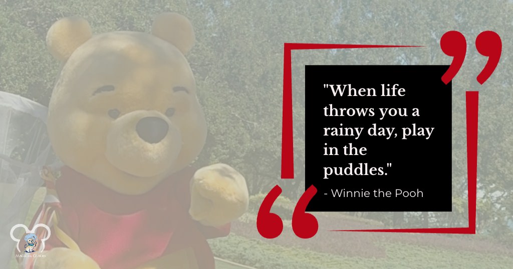 "when life throws you a rainy day, play in the puddles" - Winnie the Pooh
