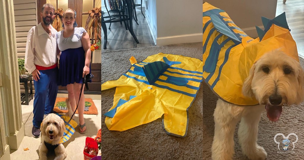 Little Mermaid family themed costume, dog in flounder costume